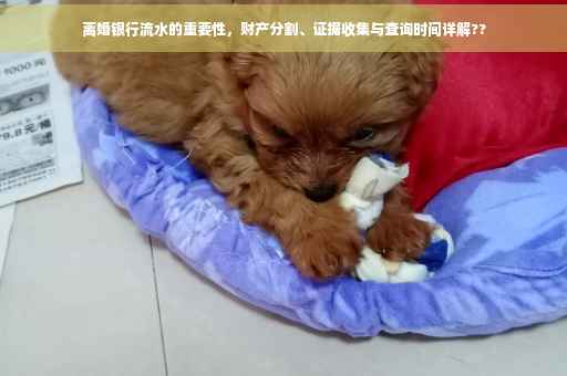 离婚银行流水的重要性，财产分割、证据收集与查询时间详解??