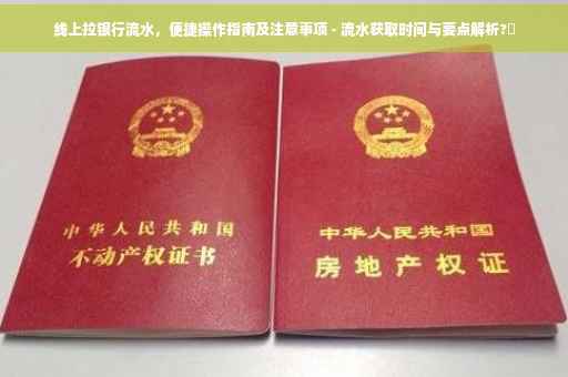 线上拉银行流水，便捷操作指南及注意事项 - 流水获取时间与要点解析?✨