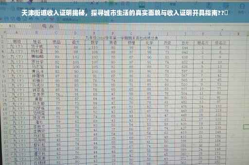 天津街道收入证明揭秘，探寻城市生活的真实面貌与收入证明开具指南??️