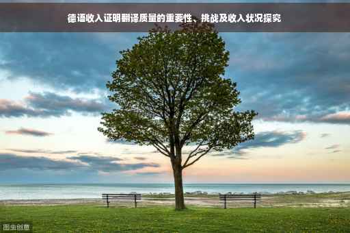 德语收入证明翻译质量的重要性、挑战及收入状况探究