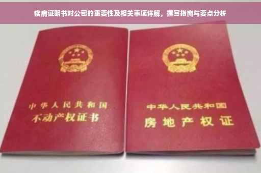 疾病证明书对公司的重要性及相关事项详解，撰写指南与要点分析