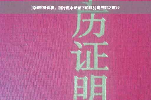 揭秘财务真相，银行流水记录下的挑战与应对之道??