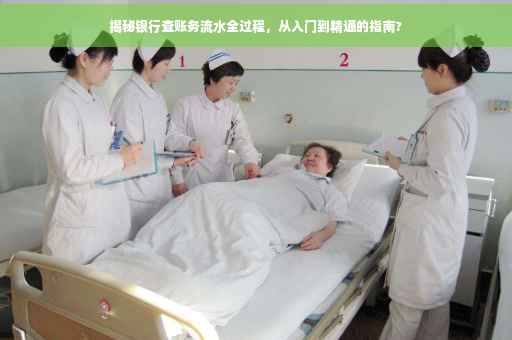 揭秘银行查账务流水全过程，从入门到精通的指南?