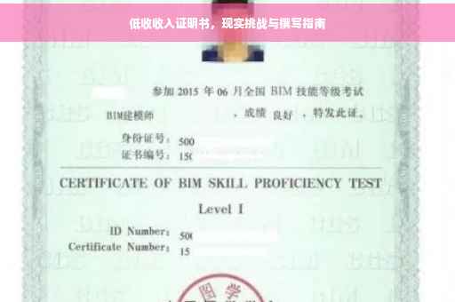 低收收入证明书，现实挑战与撰写指南