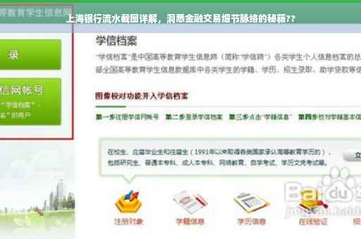 上海银行流水截图详解，洞悉金融交易细节脉络的秘籍??