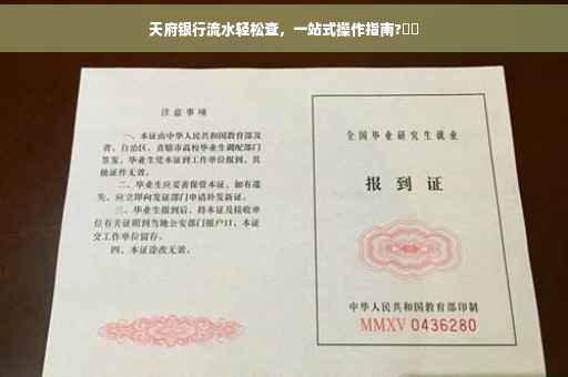 天府银行流水轻松查，一站式操作指南?⚡️