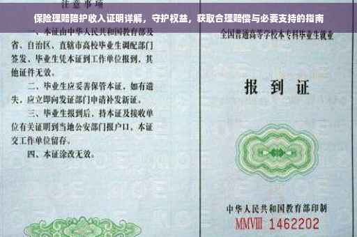 保险理赔陪护收入证明详解，守护权益，获取合理赔偿与必要支持的指南