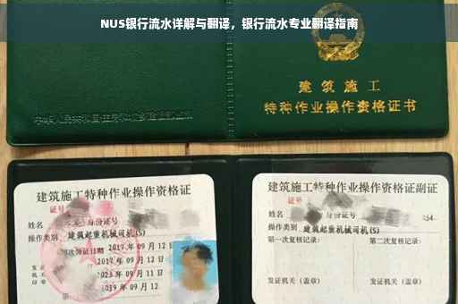 NUS银行流水详解与翻译，银行流水专业翻译指南