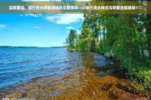 深度解读，银行流水获取途径及注意事项——银行流水格式与获取流程揭秘?⚡️