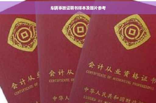 车辆事故证明书样本及图片参考