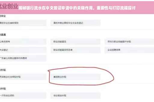 揭秘银行流水在中文签证申请中的关键作用，重要性与打印流程探讨
