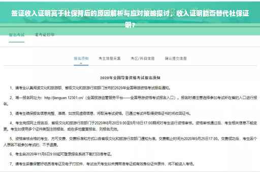 签证收入证明高于社保背后的原因解析与应对策略探讨，收入证明能否替代社保证明？