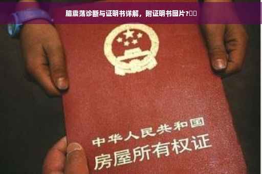 脑震荡诊断与证明书详解，附证明书图片?⚡️