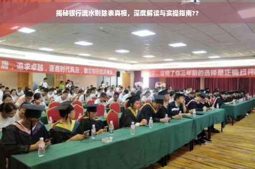 揭秘银行流水剔除表真相，深度解读与实操指南??