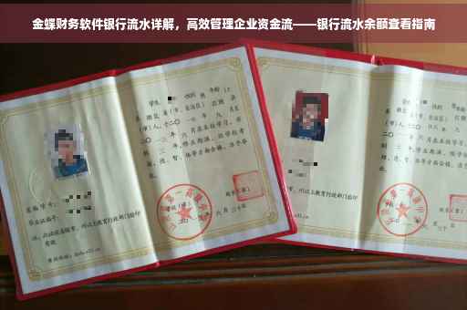 金蝶财务软件银行流水详解，高效管理企业资金流——银行流水余额查看指南