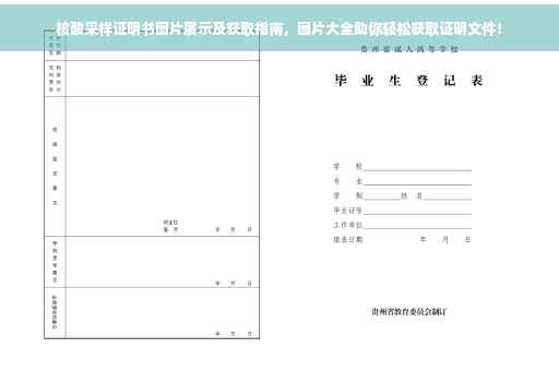 核酸采样证明书图片展示及获取指南，图片大全助你轻松获取证明文件！