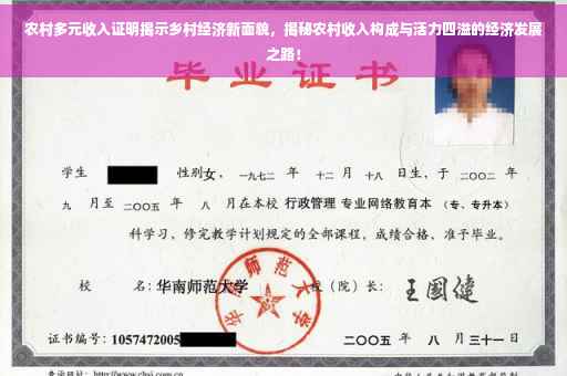 农村多元收入证明揭示乡村经济新面貌，揭秘农村收入构成与活力四溢的经济发展之路！