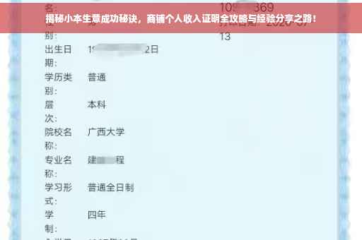 揭秘小本生意成功秘诀，商铺个人收入证明全攻略与经验分享之路！