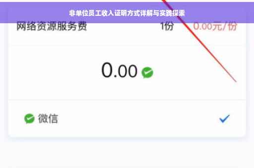 非单位员工收入证明方式详解与实践探索