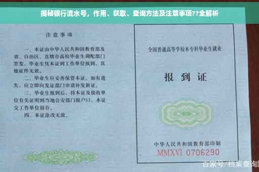 揭秘银行流水号，作用、获取、查询方法及注意事项??全解析