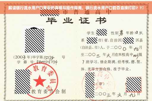 解读银行流水用户口背后的真相与操作指南，银行流水用户口能否直接打印？?✨