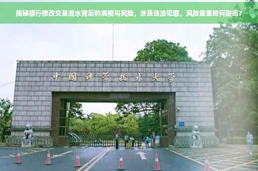 揭秘银行修改交易流水背后的真相与风险，涉及违法犯罪，风险重重如何防范？