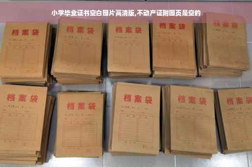 小学毕业证书空白图片高清版,不动产证附图页是空的