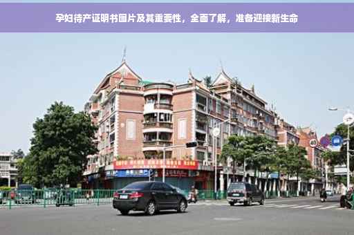 孕妇待产证明书图片及其重要性，全面了解，准备迎接新生命