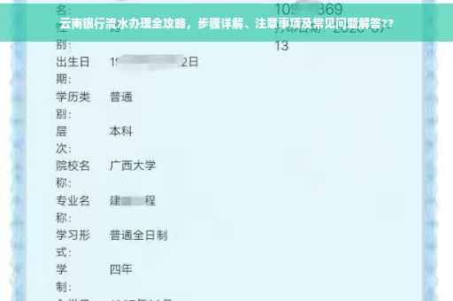 云南银行流水办理全攻略，步骤详解、注意事项及常见问题解答??