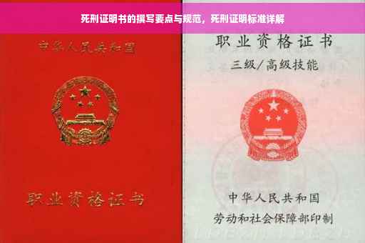 死刑证明书的撰写要点与规范，死刑证明标准详解