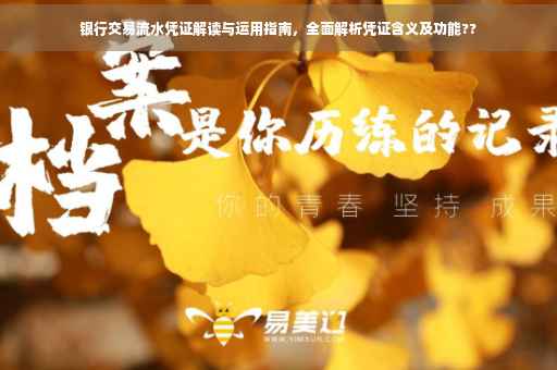 银行交易流水凭证解读与运用指南，全面解析凭证含义及功能??
