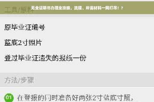 无业证明书办理全攻略，流程、所需材料一网打尽！?