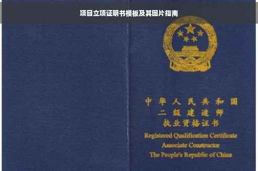 项目立项证明书模板及其图片指南