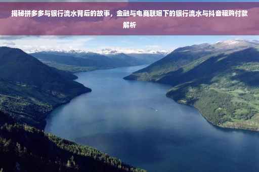 揭秘拼多多与银行流水背后的故事，金融与电商联姻下的银行流水与抖音租购付款解析
