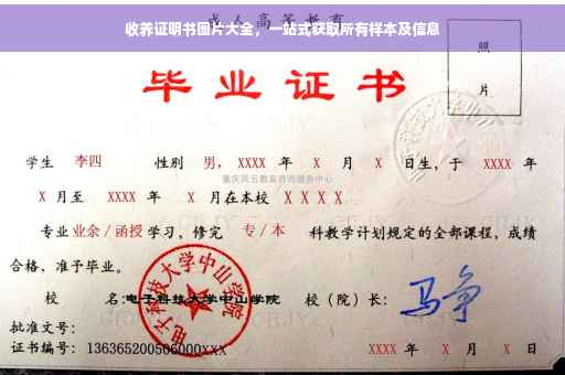 收养证明书图片大全，一站式获取所有样本及信息
