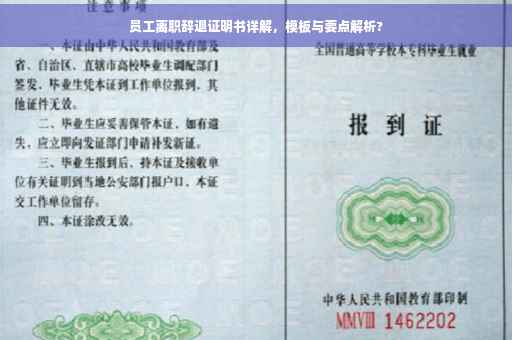 员工离职辞退证明书详解，模板与要点解析?