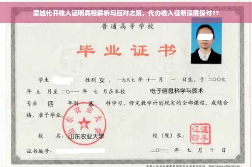 蒙城代开收入证明真相解析与应对之策，代办收入证明深度探讨??