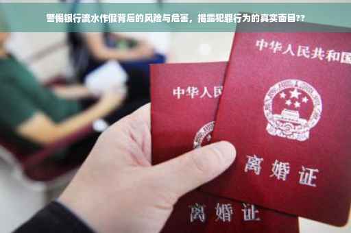 警惕银行流水作假背后的风险与危害，揭露犯罪行为的真实面目??