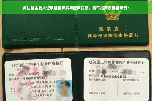 救助基金收入证明模板详解与使用指南，撰写指南及模板示例?