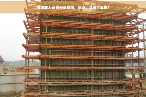 蚌埠收入证明开具指南，地点、流程全解析?