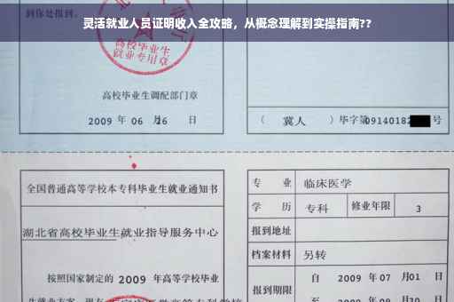 灵活就业人员证明收入全攻略，从概念理解到实操指南??