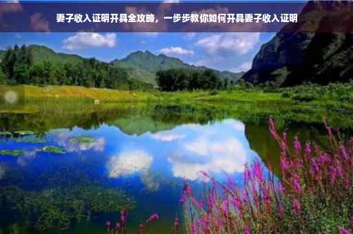 妻子收入证明开具全攻略，一步步教你如何开具妻子收入证明