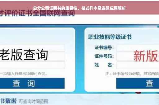 总分公司证明书的重要性、格式样本及实际应用解析