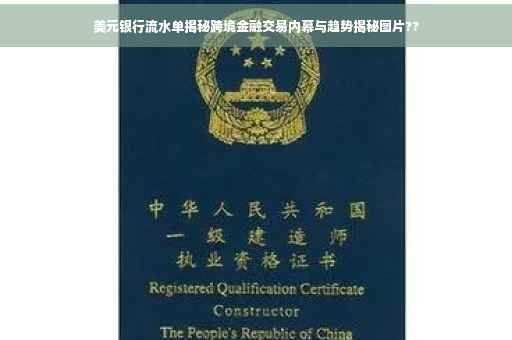 美元银行流水单揭秘跨境金融交易内幕与趋势揭秘图片??