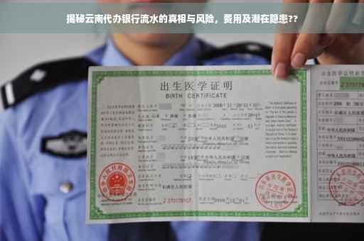 揭秘云南代办银行流水的真相与风险，费用及潜在隐患??