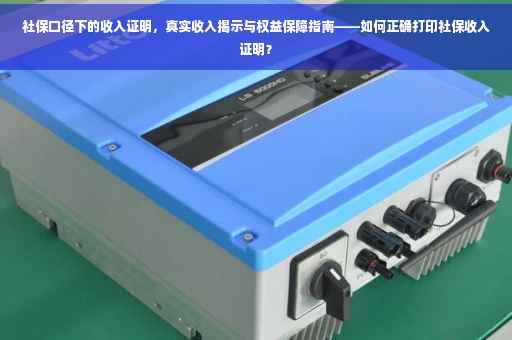 社保口径下的收入证明，真实收入揭示与权益保障指南——如何正确打印社保收入证明？