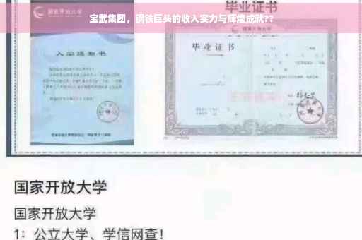 宝武集团，钢铁巨头的收入实力与辉煌成就??