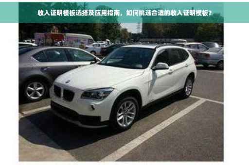 收入证明模板选择及应用指南，如何挑选合适的收入证明模板？