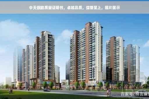 中天钢筋质量证明书，卓越品质，信誉至上，图片展示