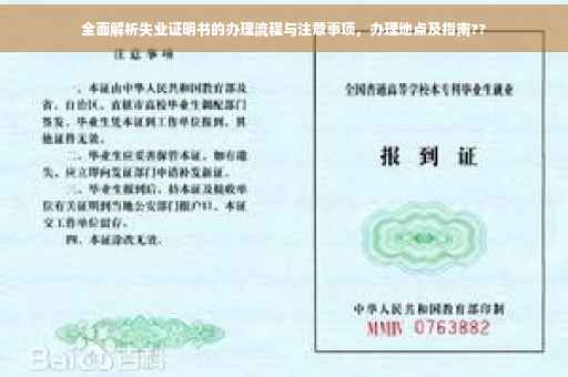 全面解析失业证明书的办理流程与注意事项，办理地点及指南??